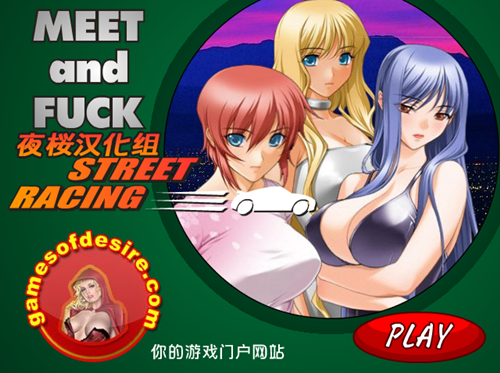 [夜桜汉化组]meet and fuck street racing[FLASH GAME]